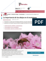 La Importancia de Las Abejas