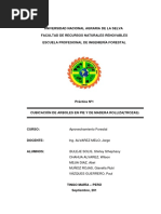 Informe de Cubicación de Madera Rollia y Arbol en Pie