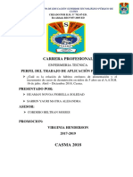 Informe de Experiencias Formativas en Situacion Real de Trabajo - Vela Tamara