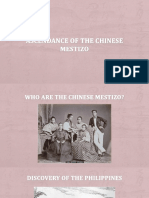 Ascendance of The Chinese Mestizo