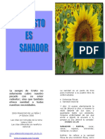 Jesus Es Sanador PDF