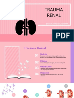 Pemeriksaan Radiologi Pada Trauma Ginjal