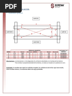 Control Puente