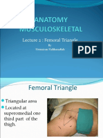 Lecture 2: Femoral Triangle: by Hermizan Halihanafiah