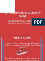 Conversion Del Músculo en Carne