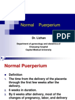 17 Normal Puerperium