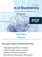 ch06 Enzymes