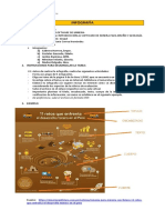 Infografía Software