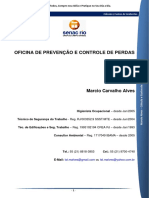 Calculo e Custos de Acidentes PDF