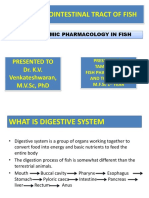 The Gastrointestinal Tract of Fish: Presented To Dr. K.V. Venkateshwaran, M.V.SC, PHD