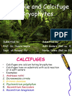 Calcicoles and Calcifuges