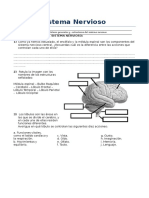 S - Nervioso GUIA 1