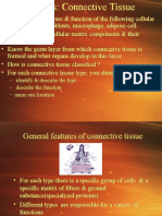 Identify & Describe The Type - Describe The Function - Name One Location