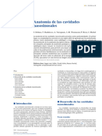 Anatomía de Las Cavidades Nasosinusales