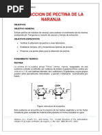 Informe Extraccion de Pectina de La Naranja