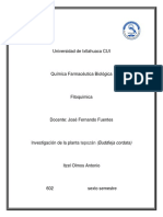 Proyecto de Investigacion Tepozan (Budleja Cordata)