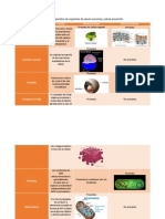 Cuadro Comparativo de Organelos de Célula Eucariota y Célula Procariota