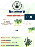 Leek Production Technology