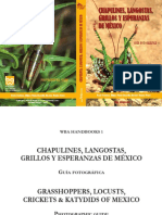 Chapulines, Langostas, Grillos y Esperanzas de México Grasshoppers, Locusts, Crickets & Katydids of Mexico Guía Fotográfica Photographic Guide PDF