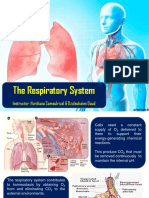 Chapter 9 The Respiratory System