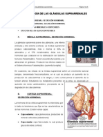 Tema Ii. Fisiología de Las Glándulas Suprarrenales