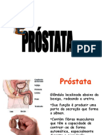 Prostata Aula