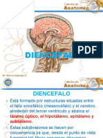 DIENCEFALO Gslides PDF