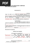 Formato de Demanda para Llenar