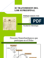 Vias Del Dolor 7126 PPT Share)