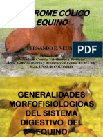 Cólico Equino