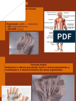 ANATOMIA E FISIOLOGIA HUMANA Aula Introdução