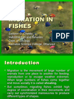 Migration in Fishes