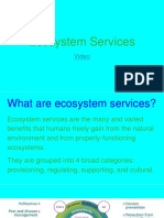 Ecosystem Services 3