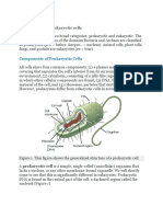 Prokaryotic and Eukaryotic Cells