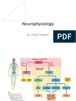 Neurophysiology: Dr. Irbab Hawari