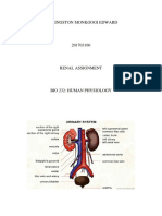 Role of Hormones, Their Endocrine Glands As Well As Their Function in The Urinary System