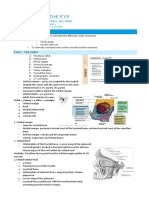 Anatomy of The Eye