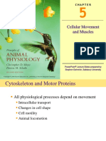 Cellular Movement and Muscles: Powerpoint Lecture Slides Prepared by Stephen Gehnrich, Salisbury University