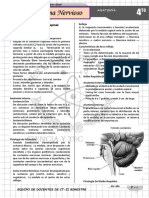 Dossier Sist. Nervioso Ii Bimestre