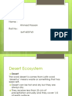 Desert Ecosystem Ahmad