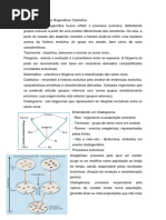 Aula Filogenia e Cladistica