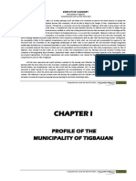 Executive Summary: Municipality of Tigbauan Comprehensive Land Use Plan 2014-2024