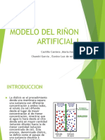 Modelo Del Riñon Artificial I Word