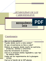 Bioquimica: Metabolismo Del Glucogeno