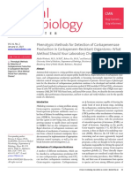 Clinical Methods For Detecting Carbapenemases: What Should Your Lab Use