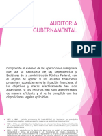 Auditoria Gubernamental