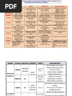 Cuadro Comparativo Culturas Preincas