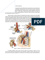 Pathophysiology of Thoracic Outlet Syndrome