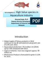 Groupers-High Value Species in Aquaculture Industry