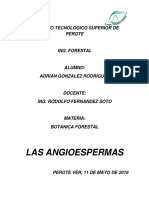 Las Angioespermas